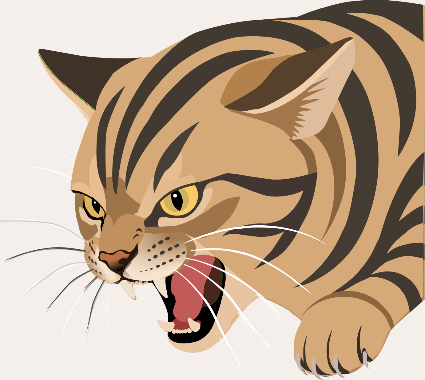 猫